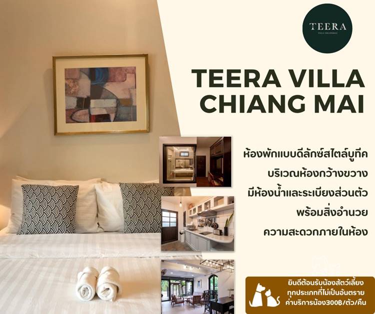 เชียงใหม่น้องหมาพักได้