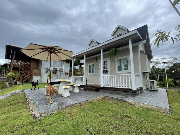 ที่พักเชียงดาวน้องหมาพักได้