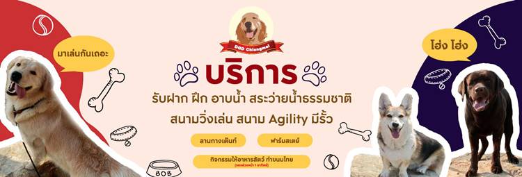 ที่พักแม่ริมเชียงใหม่หมาพักได้