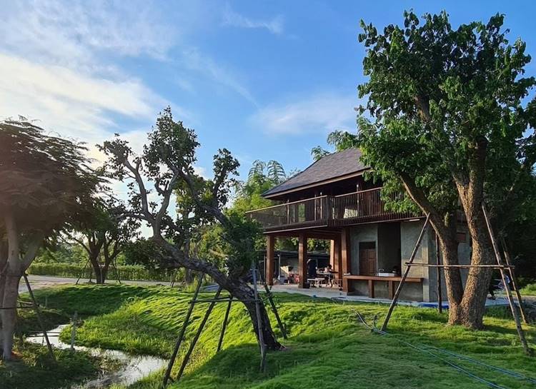 ที่พักแม่ริมเชียงใหม่หมาพักได้