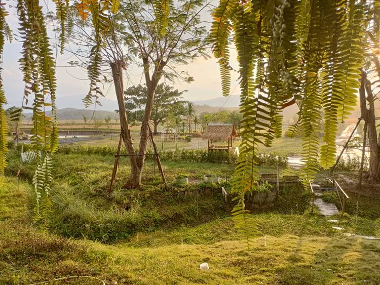 ที่พักแม่ริมเชียงใหม่หมาพักได้
