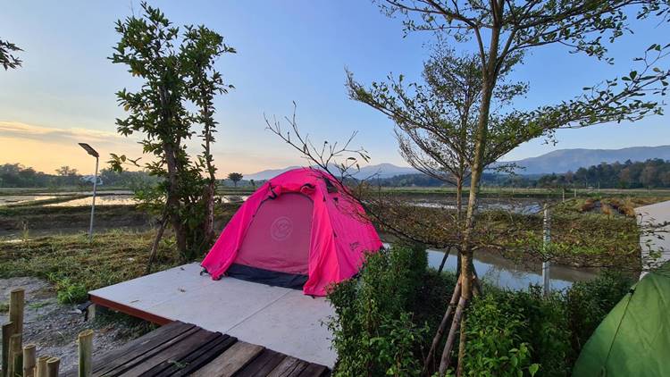 ที่พักแม่ริมเชียงใหม่หมาพักได้