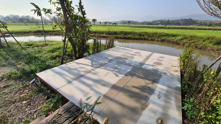 ที่พักแม่ริมเชียงใหม่หมาพักได้