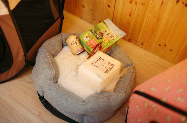 ที่พักรถบ้านใกล้แม่กำปองหมาพักได้