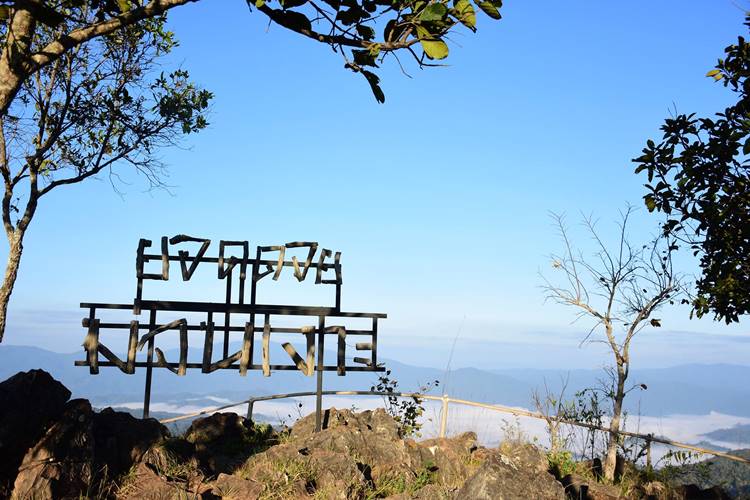 ที่พักเชียงใหม่น้องหมาพักได้