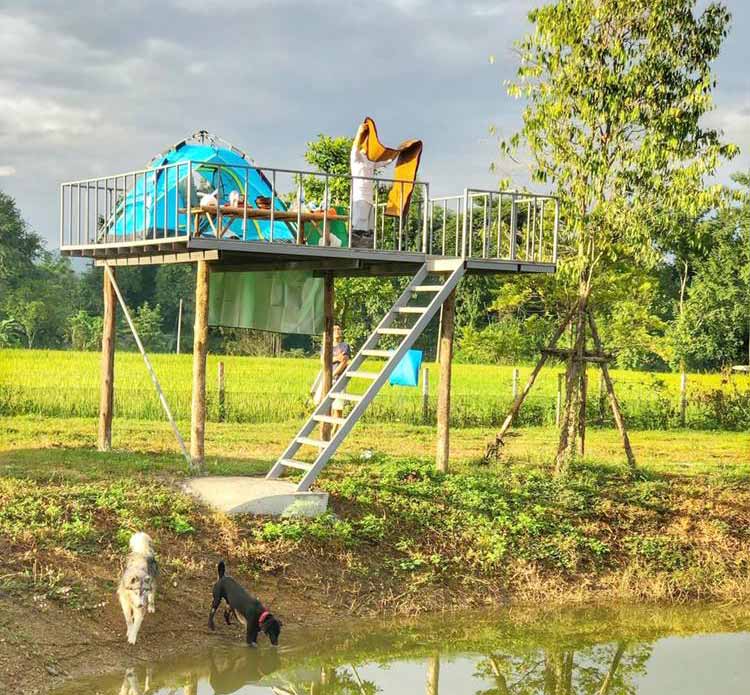 ที่พักใกล้เขื่อนแม่ออนเชียงใหม่หมาพักได้