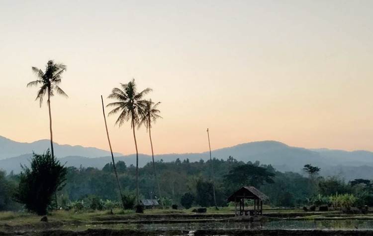 ที่พักในแม่ริมที่น้องหมาพักได้