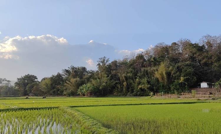 ที่พักในแม่ริมที่น้องหมาพักได้