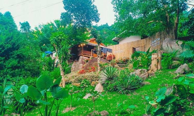 ที่พักแม่ออนน้องหมาพักได้