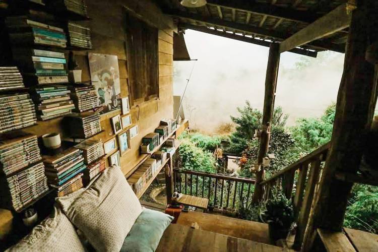 บ้านพักเชียงดาวน้องหมาพักได้