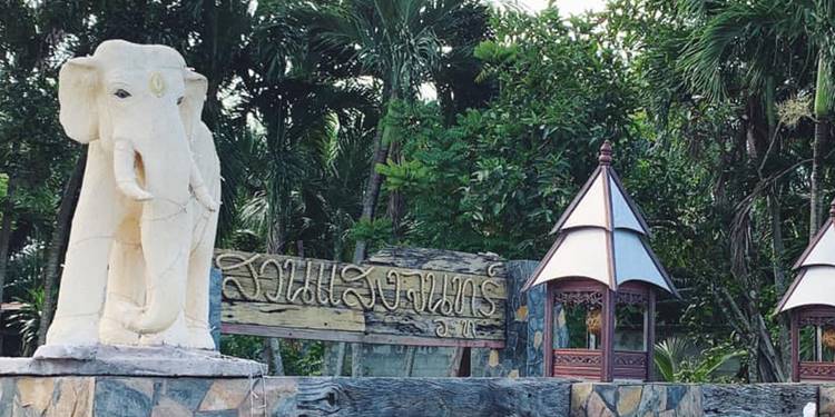 ที่พักชุมพรน้องหมาพักได้