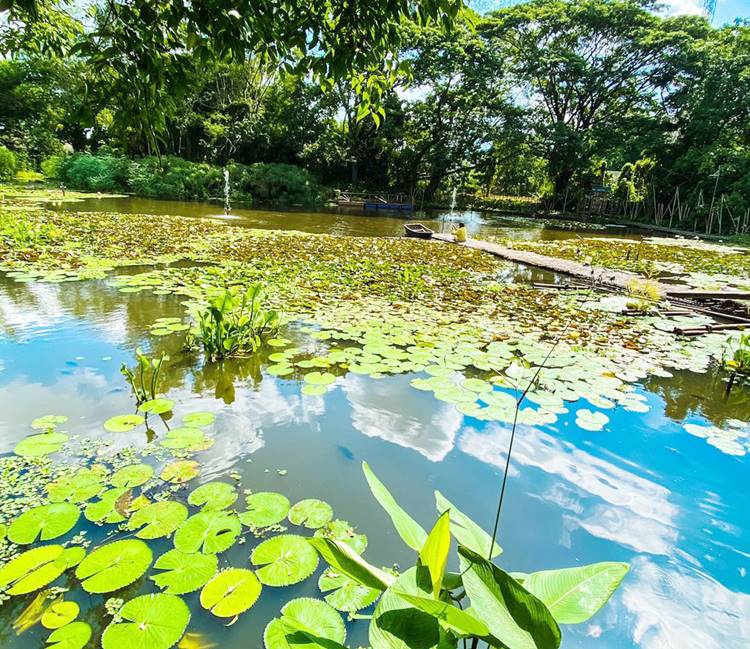 ที่พักกลางเมืองเชียงรายหมาพักได้