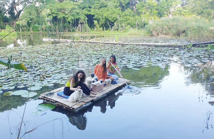 ที่พักกลางเมืองเชียงรายหมาพักได้