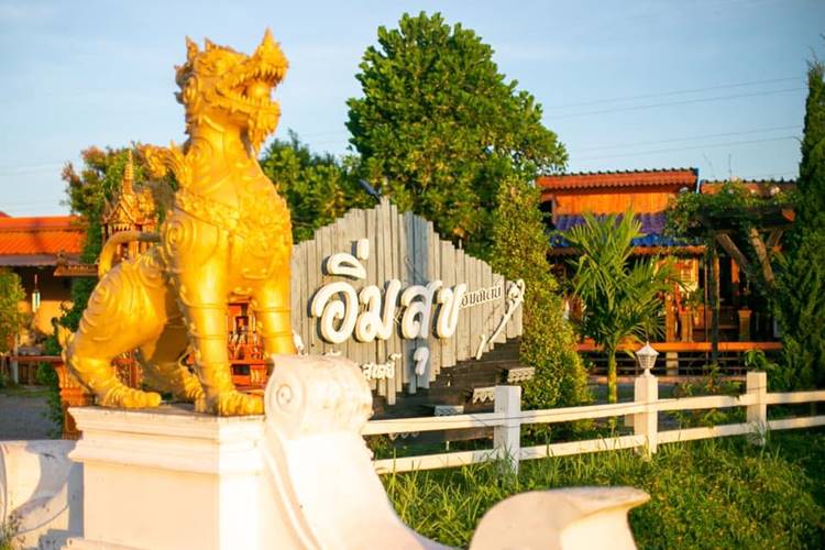 เชียงรายน้องหมาพักได้