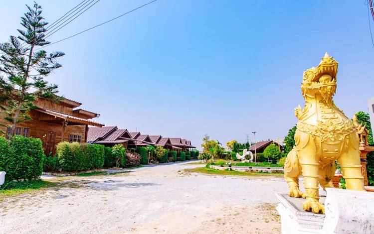 เชียงรายน้องหมาพักได้