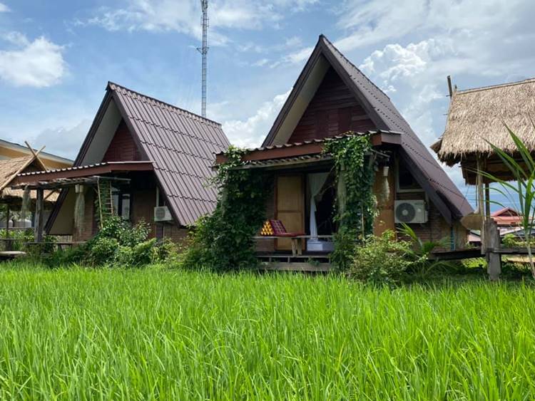 ที่พักเชียงรายน้องหมาพักได้