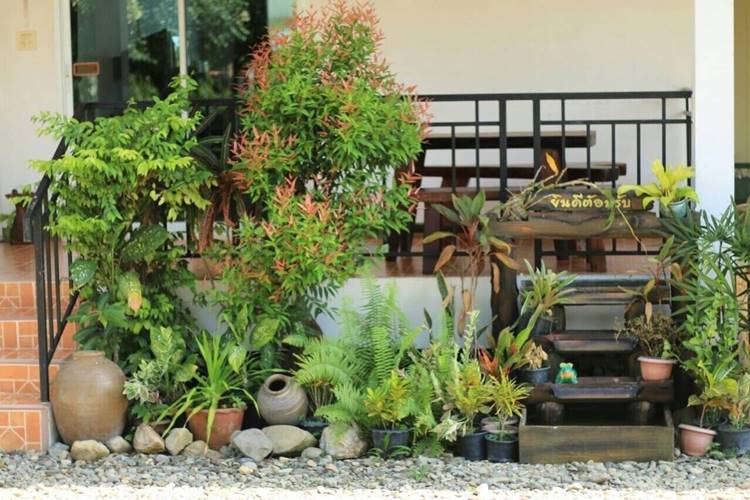 ที่พักในเมืองจันท์หมาใหญ่พักได้