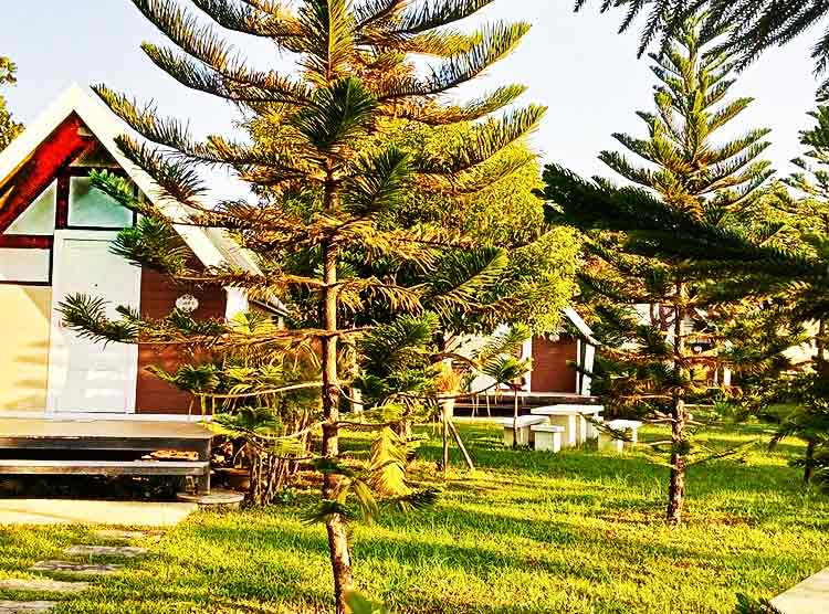 ที่พักกำแพงเพชรน้องหมาพักได้