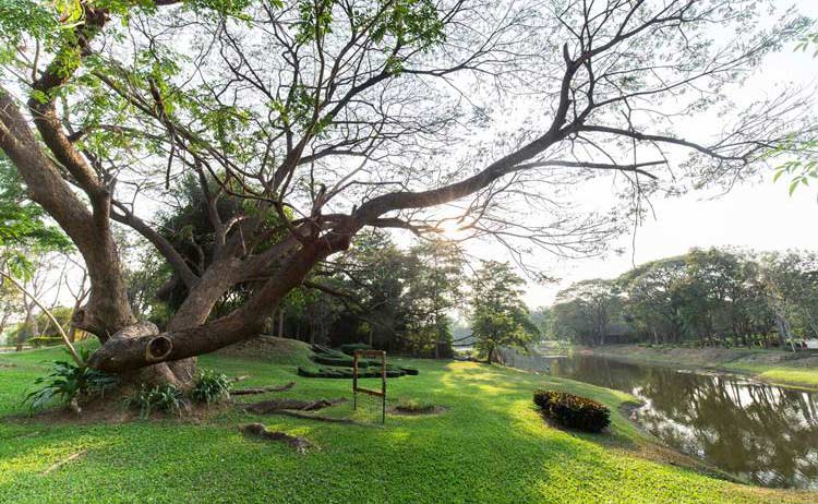 ที่พักเมืองกาญน้องหมาพักได้