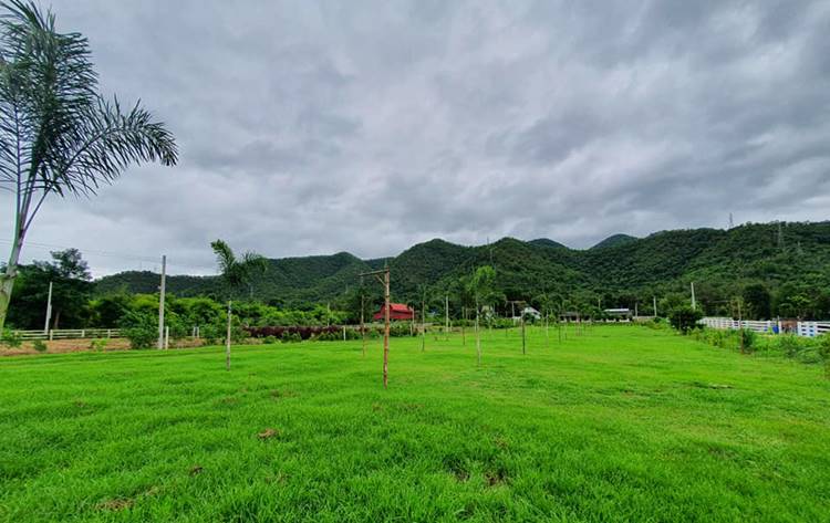 ที่พักเมืองกาญน้ำตกเอราวัณหมาพักได้