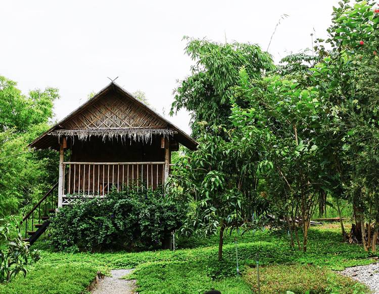 ที่พักไทรโยคเมืองกาญน้องหมาพักได้