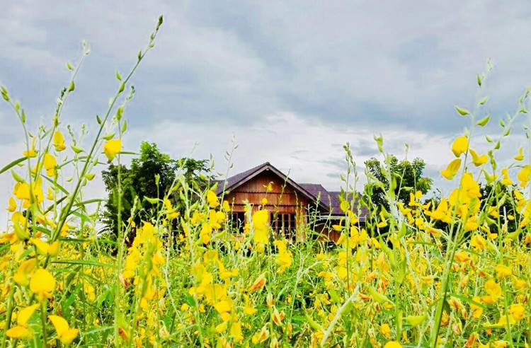 ที่พักไทรโยคเมืองกาญน้องหมาพักได้