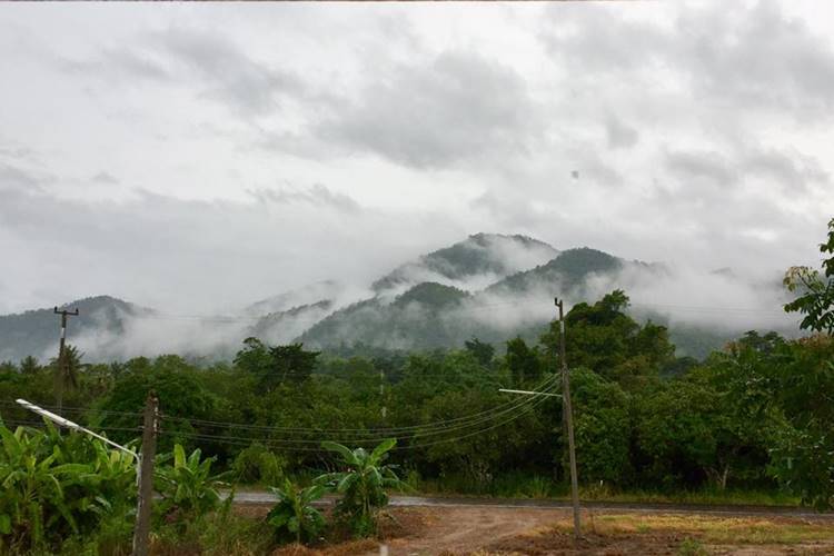 ที่พักไทรโยคเมืองกาญน้องหมาพักได้