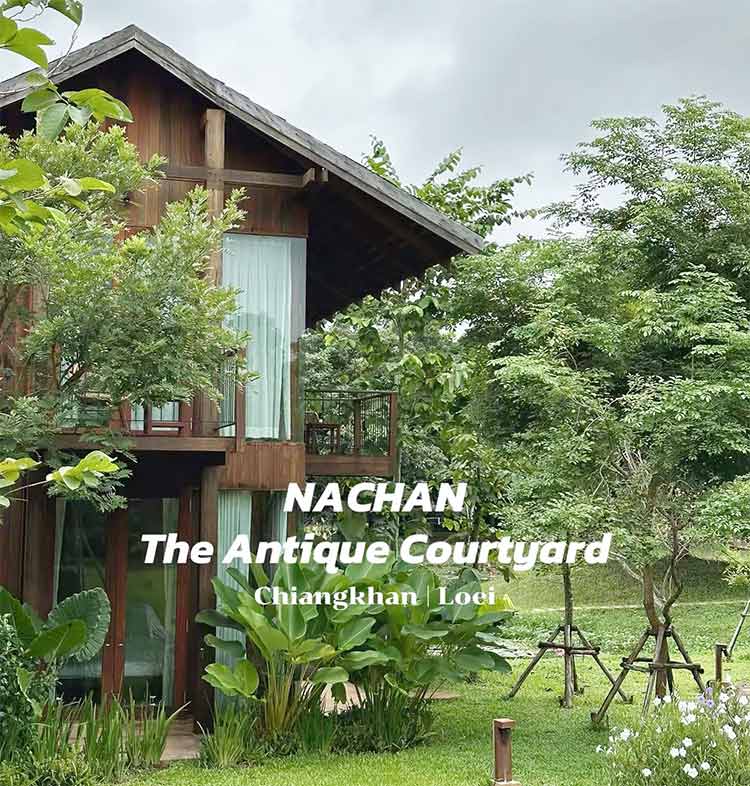 บ้านพักเชียงคานน้องหมาพักได้