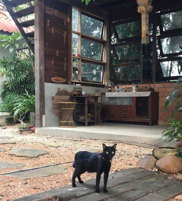 ลำปางน้องหมาพักได้