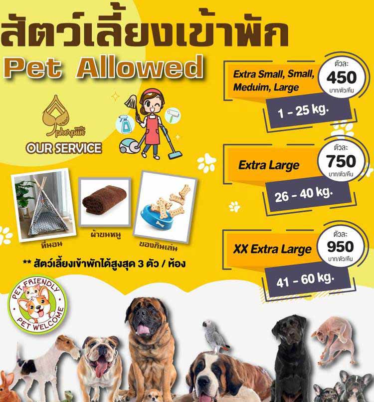 ที่พักลำปางน้องหมาพักได้