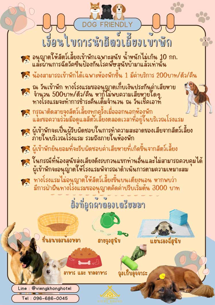 น้องหมาพักได้เมืองมุกดาหาร