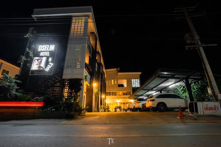 ที่พักในเมืองน่านน้องหมาพักได้