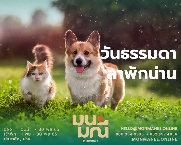 ที่พักบ่อเกลือ น่าน น้องหมาพักได้