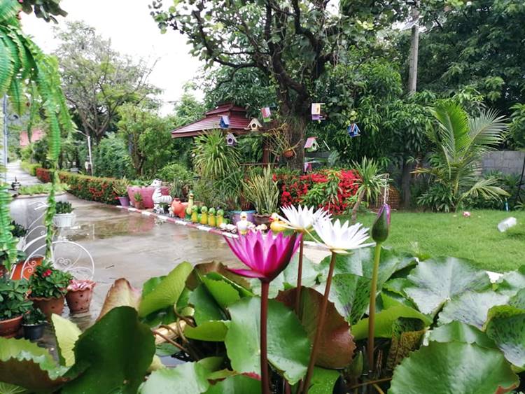 ที่พักหนองบัวลำภูหมาพักได้
