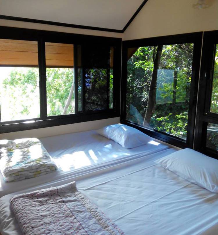 ที่พักเขายายเที่ยงน้องหมาพักได้