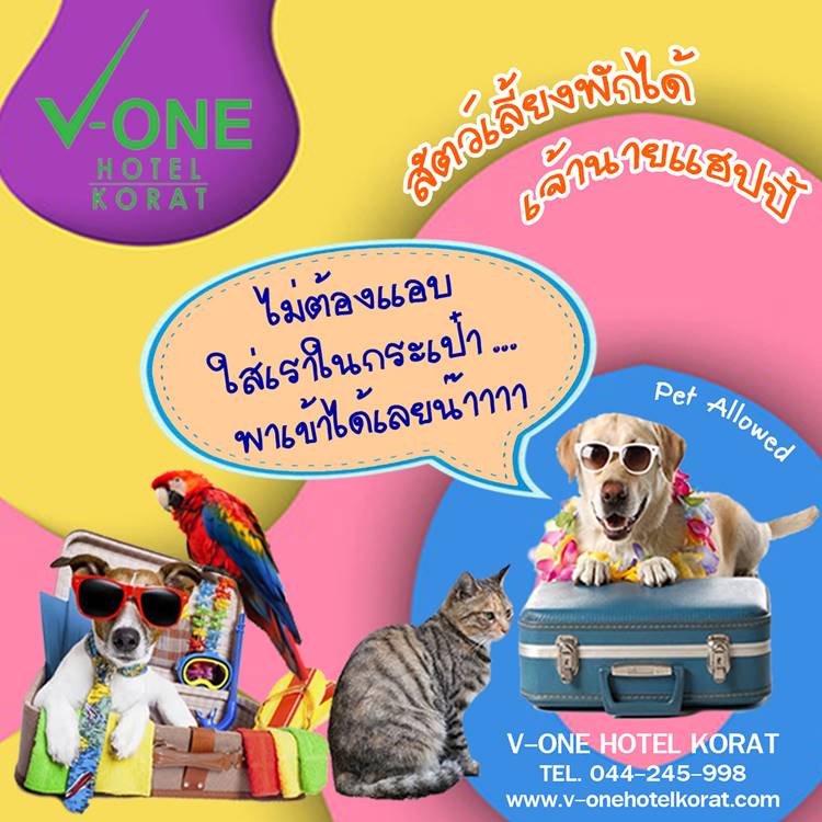 ที่พักกลางเมืองโคราชหมาพักได้