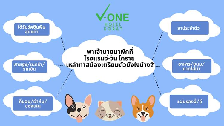 ที่พักกลางเมืองโคราชหมาพักได้