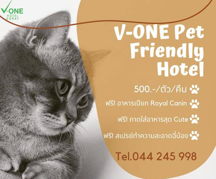 ที่พักกลางเมืองโคราชหมาพักได้