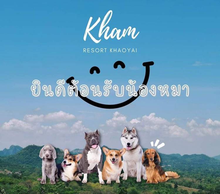 ที่พักเขาใหญ่น้องหมาพักได้
