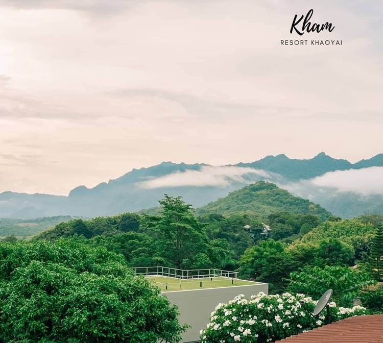 ที่พักเขาใหญ่น้องหมาพักได้