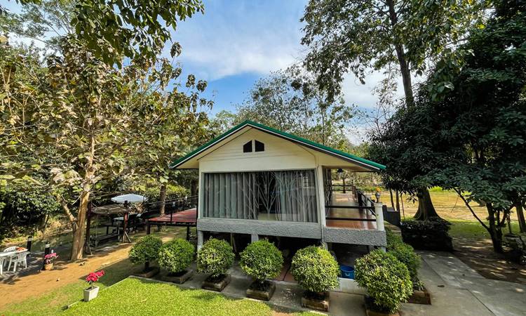 บ้านพักเขาใหญ่น้องหมาพักได้