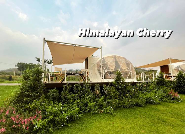 ที่พักเขาใหญ่น้องหมาพักได้