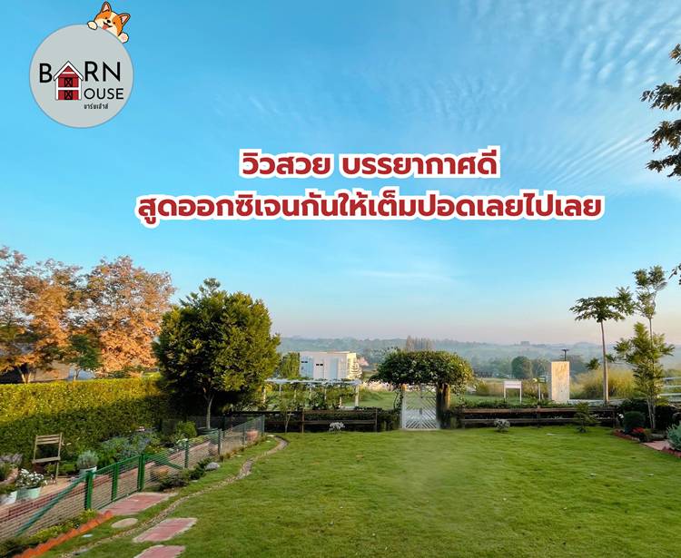 เชาใหญ่ปากช่องน้องหมาพักได้