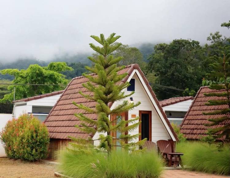 ที่พักเขาใหญ่น้องหมาพักได้
