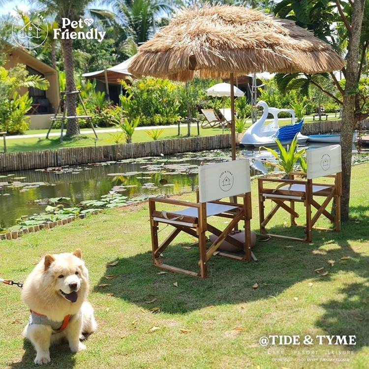 ที่พักนครชัยศรีน้องหมาพักได้
