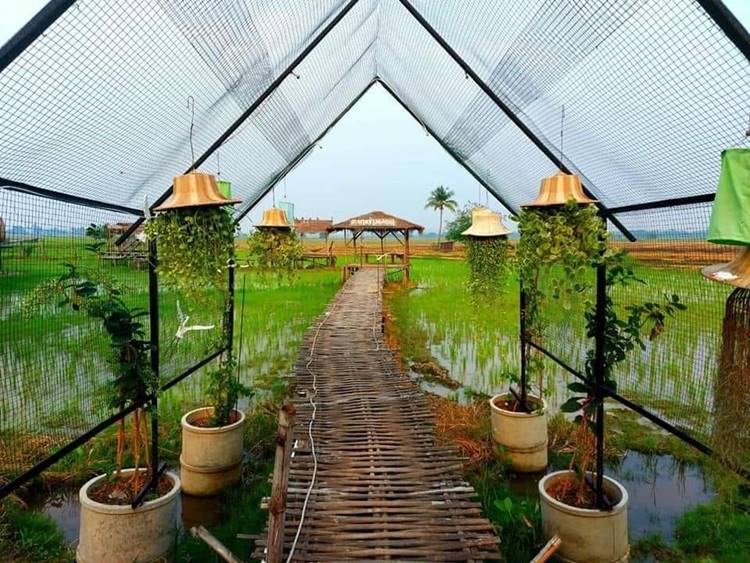 ที่พักนครสวรรค์ใกล้อุทัยหมาเล็กพักได้
