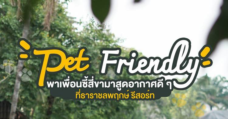 ที่พักนครนายกน้องหมาพักได้
