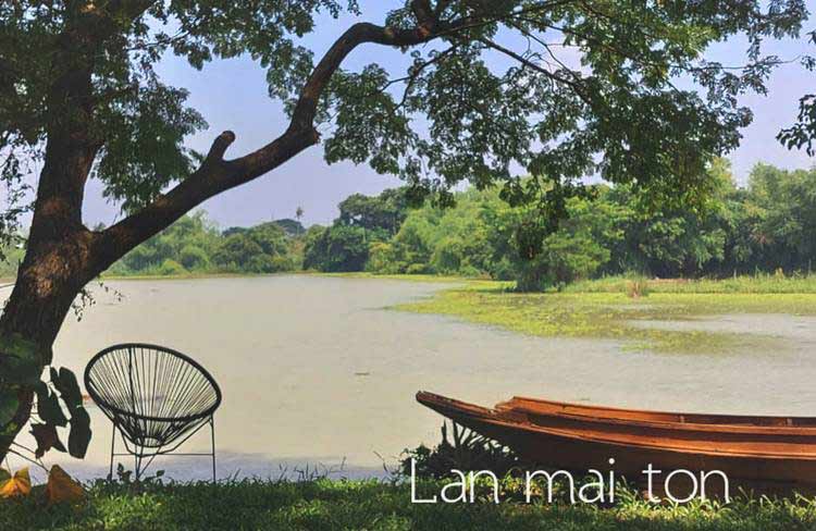 ที่พักเพชรบุรีน้องหมาพักได้