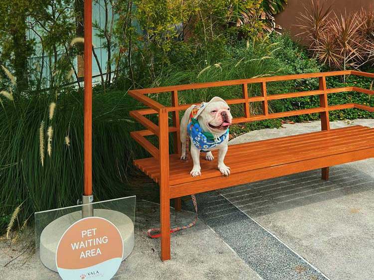 ที่พักชะอำน้องหมาพักได้
