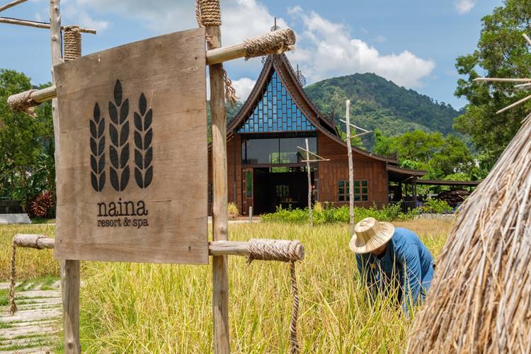 ที่พักป่าตองภูเก็ตน้องหมาพักได้